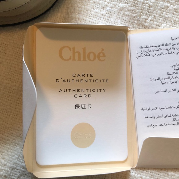 Chloe Small Nile Bracelet Bag - Picture 8 of 8